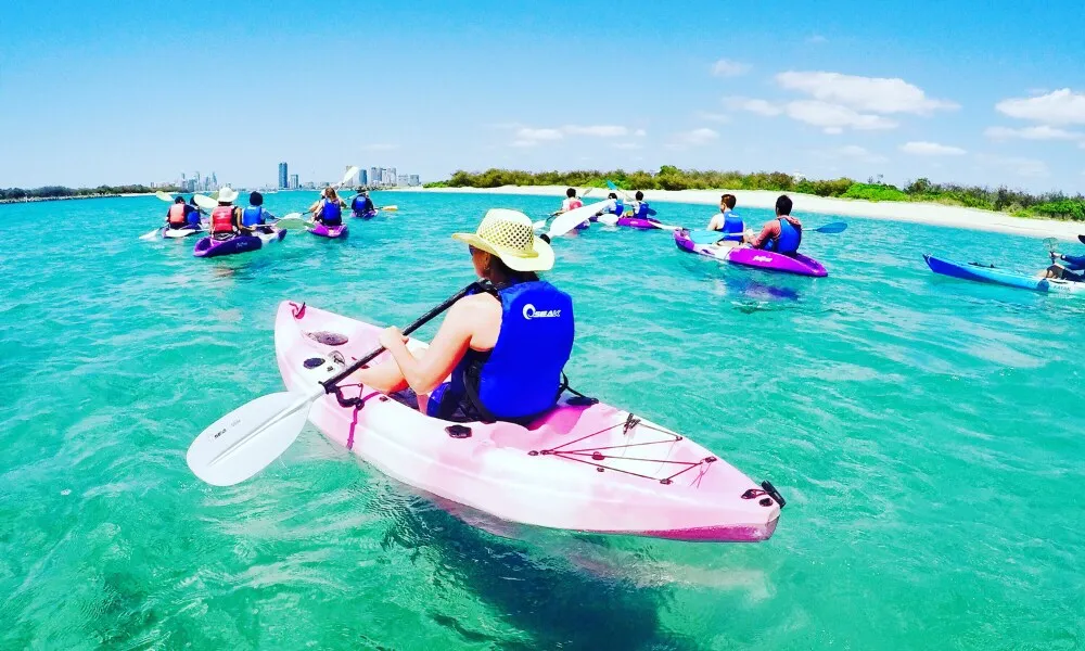 Gold Coast Morning Dolphin Kayaking and Snorkeling Tour | Experience Oz-5