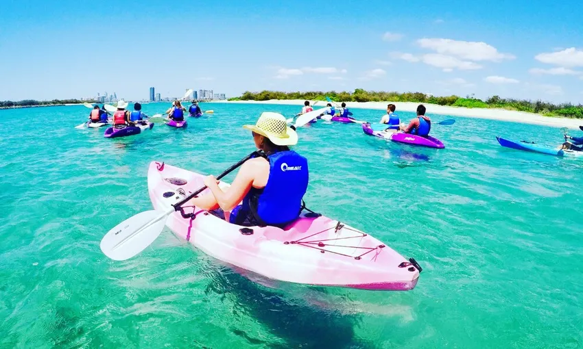 Gold Coast Morning Dolphin Kayaking and Snorkeling Tour | Experience Oz