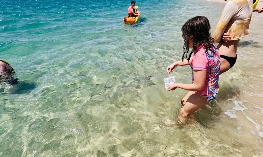 Gold Coast Morning Dolphin Kayaking and Snorkeling Tour | Experience Oz