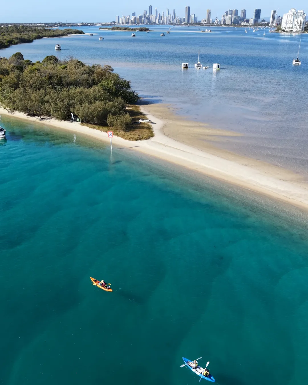 Gold Coast Morning Dolphin Kayaking and Snorkeling Tour
