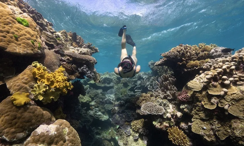 Great Barrier Reef Sailing Cruise from Cairns - Book Now | Experience Oz