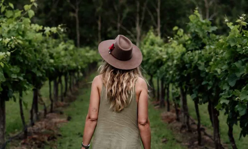 Gold Coast Full Day Winery Tour - Book Now | Experience Oz