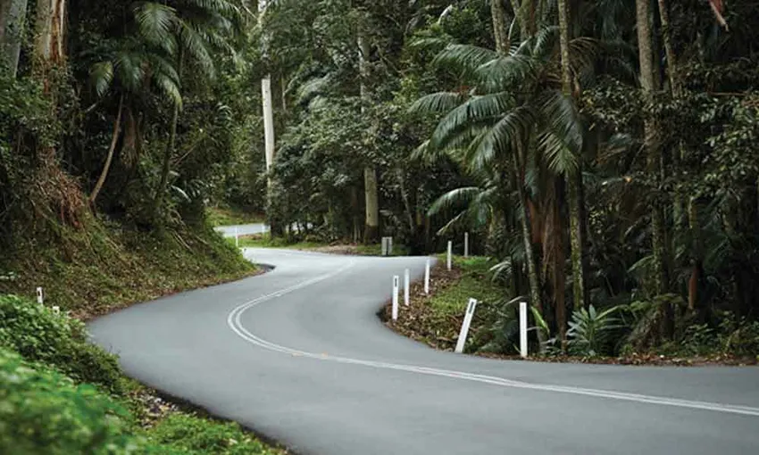 Gold Coast Full Day Winery Tour - Book Now | Experience Oz