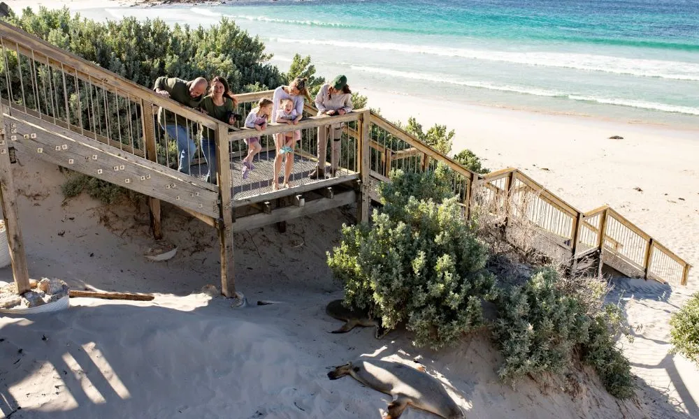 Kangaroo Island Full Day Tour with Lunch | Experience Oz		-1