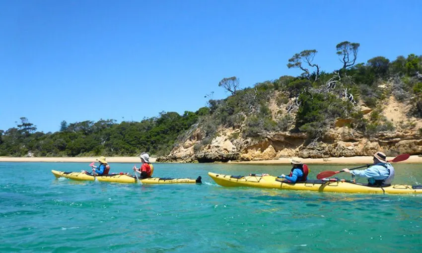 Melbourne Sea Kayaking at Point Nepean Dolphin Sanctuary, 1 Day
