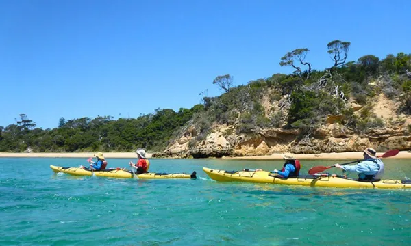 Melbourne Sea Kayaking at Point Nepean Dolphin Sanctuary, 1 Day