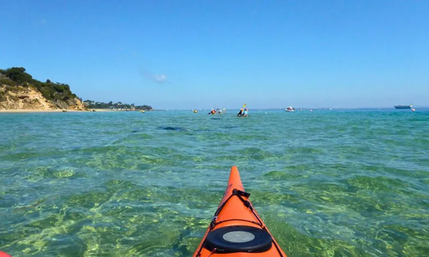 Melbourne Sea Kayaking at Point Nepean Dolphin Sanctuary, 1 Day