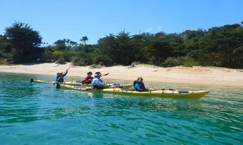 Melbourne Sea Kayaking at Point Nepean Dolphin Sanctuary, 1 Day