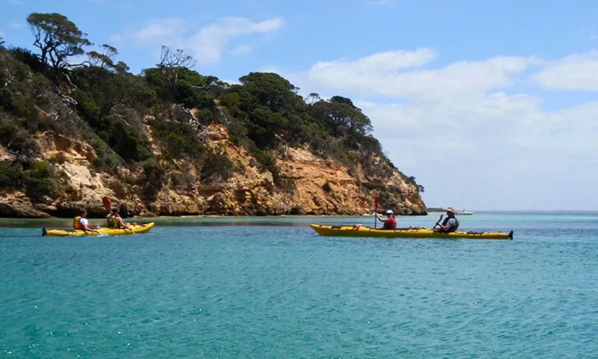 Melbourne Sea Kayaking at Point Nepean Dolphin Sanctuary, 1 Day
