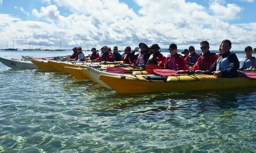 Melbourne Sea Kayaking at Point Nepean Dolphin Sanctuary, 1 Day