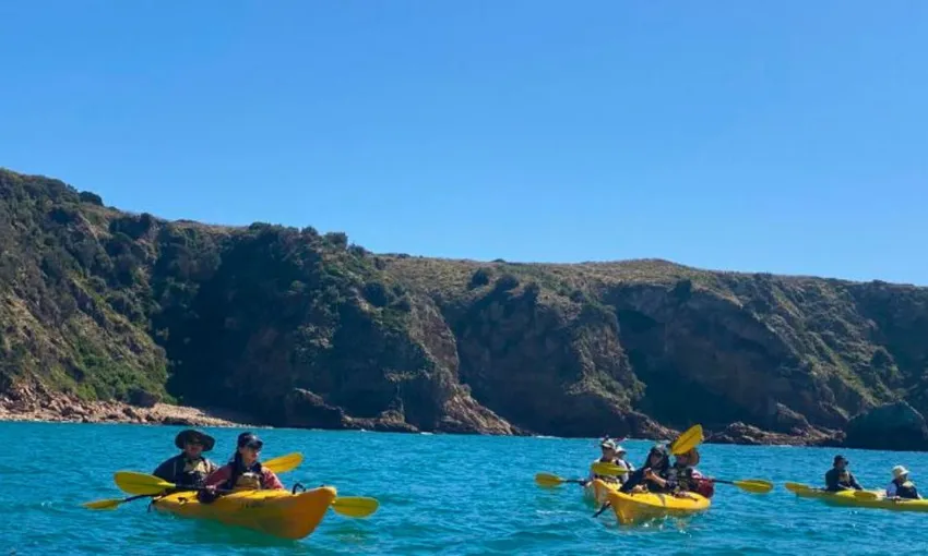 Phillip Island Sea Kayaking Adventure