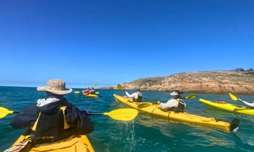Phillip Island Sea Kayaking Adventure