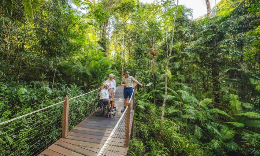 Cairns Skyrail Rainforest Cableway Return | Experience Oz