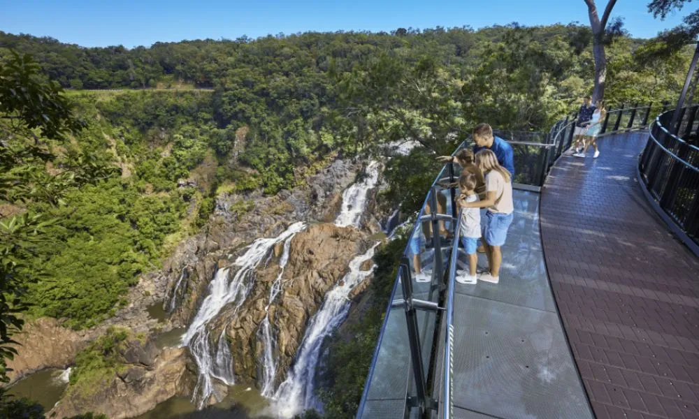 Cairns Skyrail Rainforest Cableway Return | Experience Oz-6