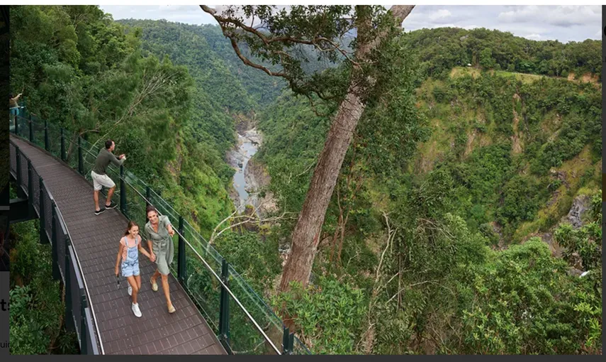 Cairns Skyrail Rainforest Cableway Return | Experience Oz
