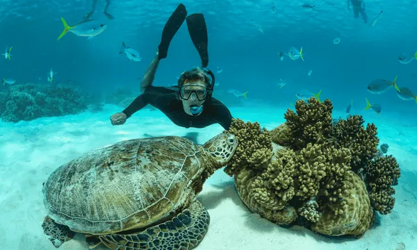 Great Barrier Reef Dive and Snorkel Cruise to 2 Reef Locations