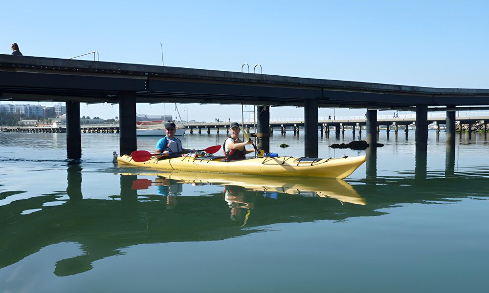 St Kilda Sea Kayaking Tour, Half Day 