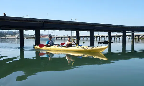 St Kilda Sea Kayaking Tour, Half Day 