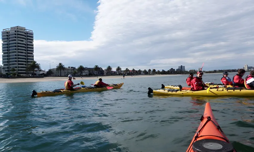 St Kilda Sea Kayaking Tour, Half Day 
