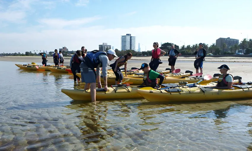 St Kilda Sea Kayaking Tour, Half Day 