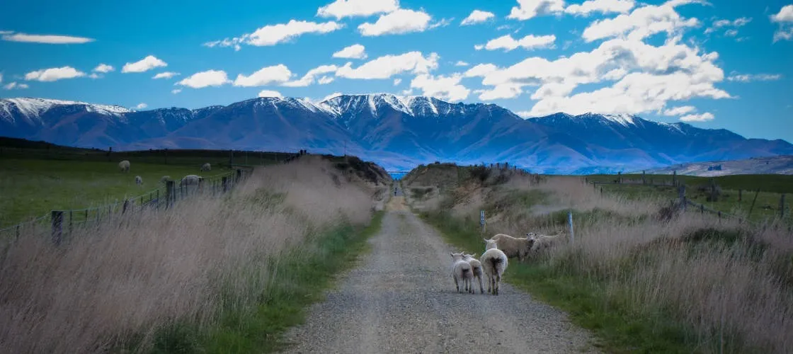 Queenstown 1 Day Taste the Trail Cycling Tour | Experience Oz + NZ-3