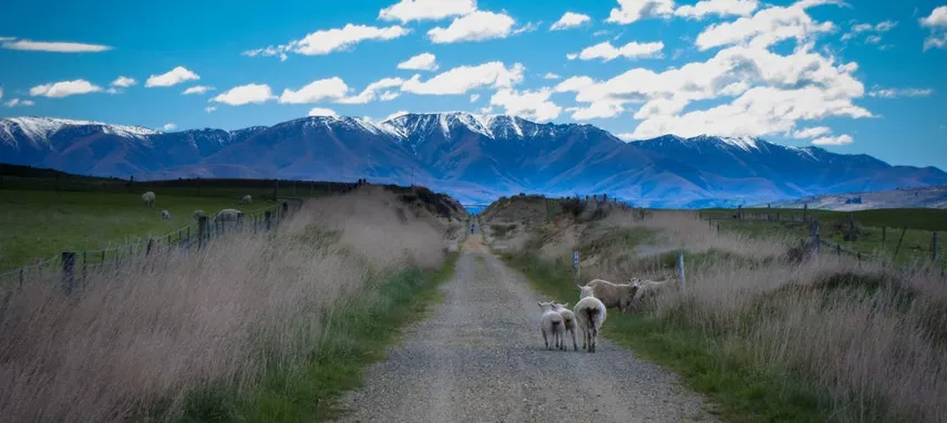Queenstown 1 Day Taste the Trail Cycling Tour | Experience Oz + NZ