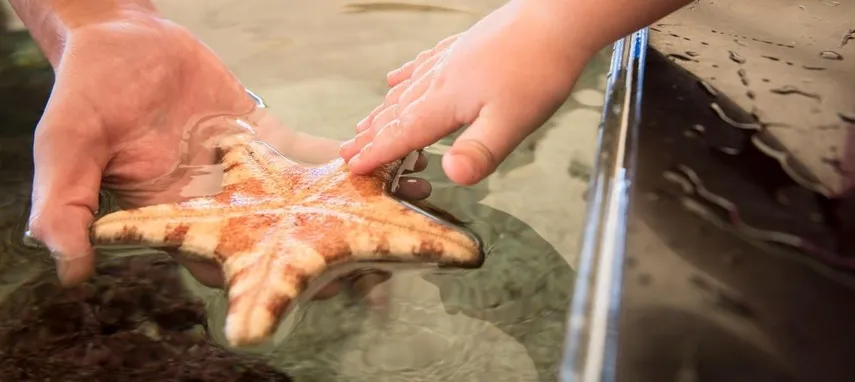 Aquarium of Western Australia Tickets Perth | Experience Oz