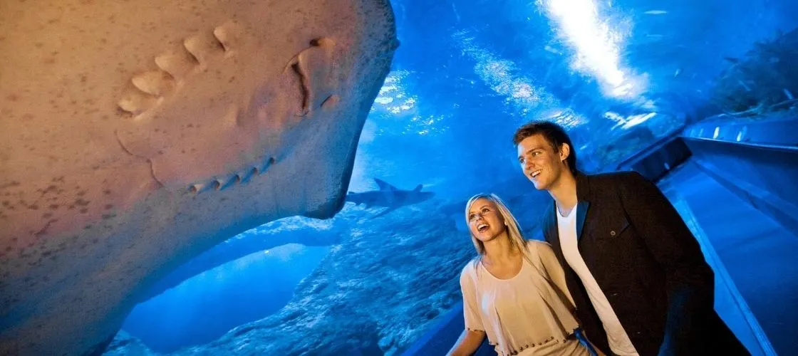Aquarium of Western Australia Tickets Perth | Experience Oz-6