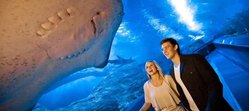 Aquarium of Western Australia Tickets Perth | Experience Oz