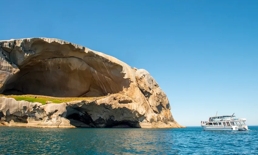Wilsons Promontory Scenic Lunch Cruise - Book Now | Experience Oz