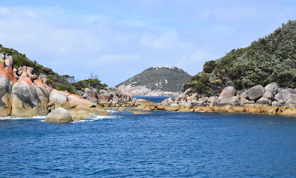 Wilsons Promontory Scenic Lunch Cruise - Book Now | Experience Oz-7
