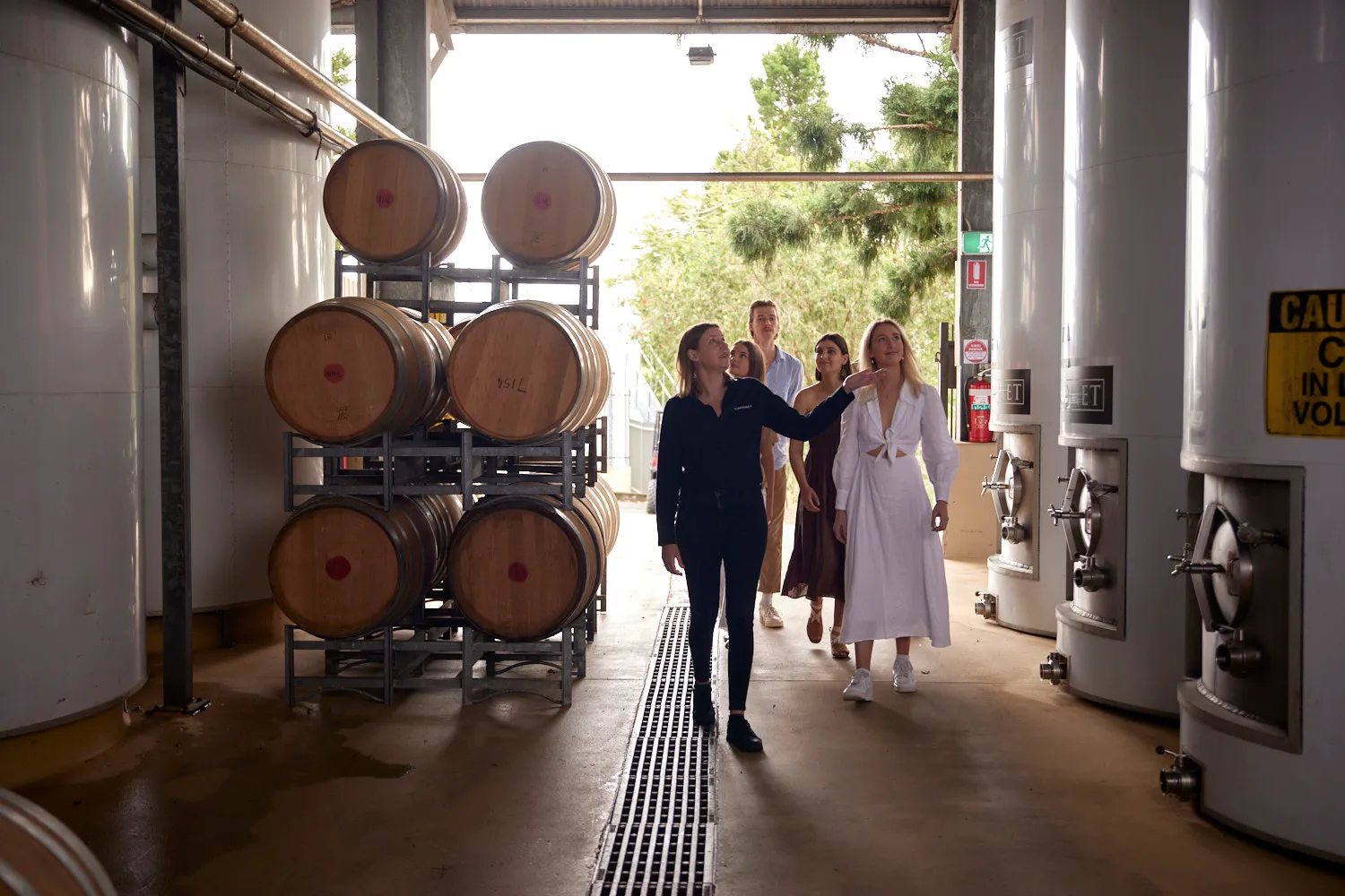 Sirromet Winery Behind the Scenes Tour with Wine Tasting | Experience Oz-2
