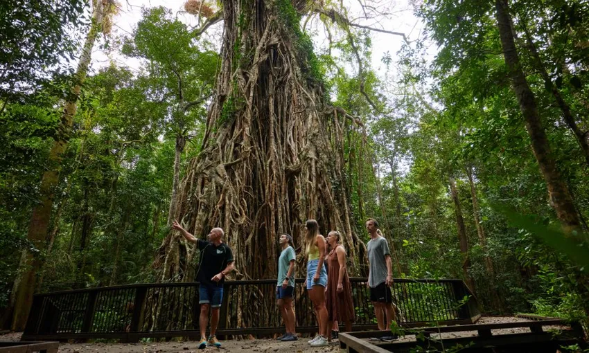 Atherton Tablelands Waterfalls Day Tour - Book Now | Experience Oz