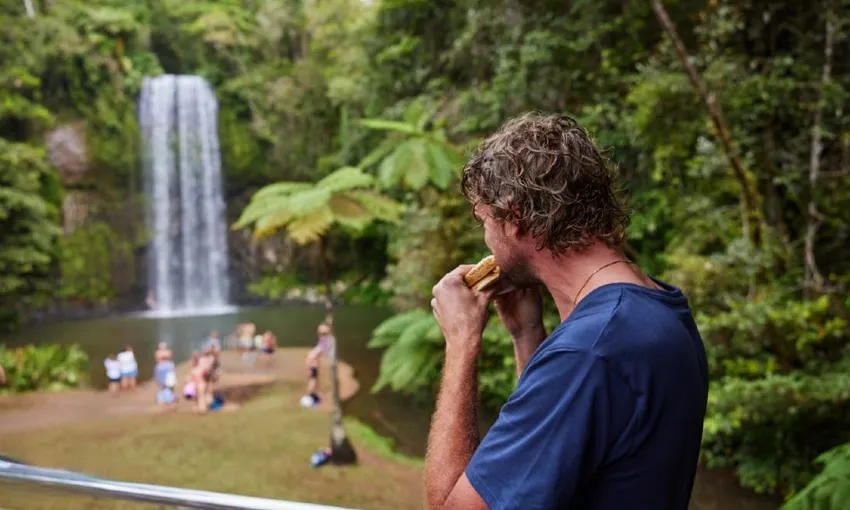 Atherton Tablelands Waterfalls Day Tour - Book Now | Experience Oz