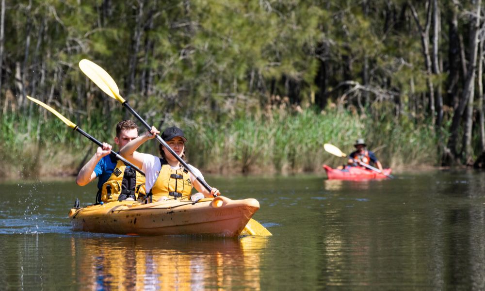 Central Coast Kayaking Tour - Half Day