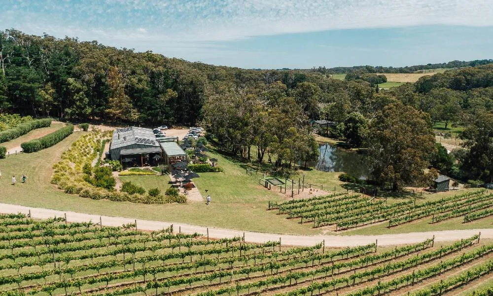 Green Olive Farmers Lunch and Wine For Two-2