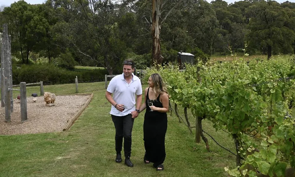 Green Olive Farmers Lunch and Wine For Two-4