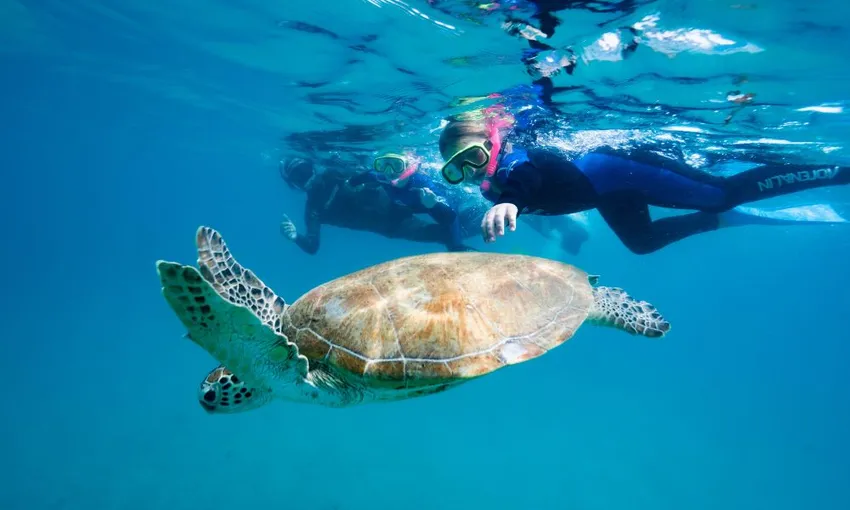 Great Keppel Island Snorkelling Day Trip with Lunch | Experience Oz