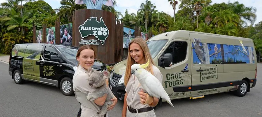 Australia Zoo Entry and Sunshine Coast Transfers | Experience Oz
