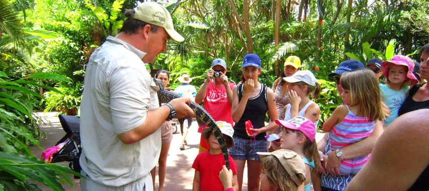 Australia Zoo Entry and Sunshine Coast Transfers | Experience Oz