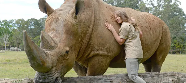 Australia Zoo Entry with Sunshine Coast Hotel Transfers