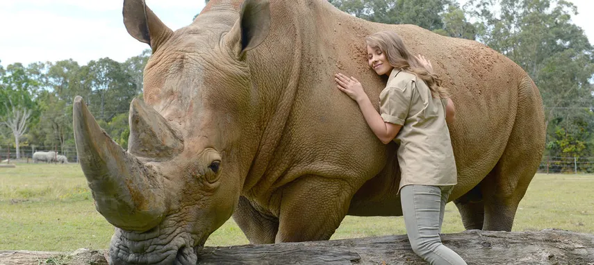 Australia Zoo Entry and Sunshine Coast Transfers | Experience Oz