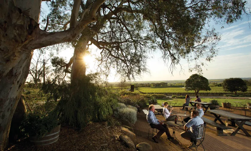 Barossa Valley Hop On Hop Off Tour Only - Book Now | Experience Oz