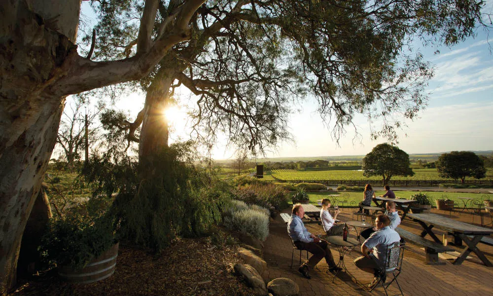 Barossa Valley Hop On Hop Off Tour from Adelaide | Experience Oz-3