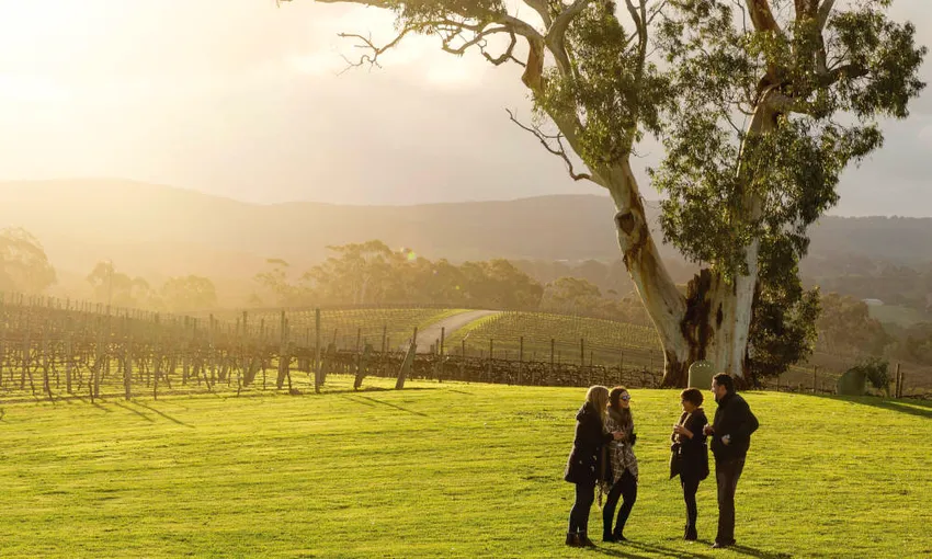 Hahndorf and Hills Hop On Hop Off Tour from Adelaide | Experience Oz