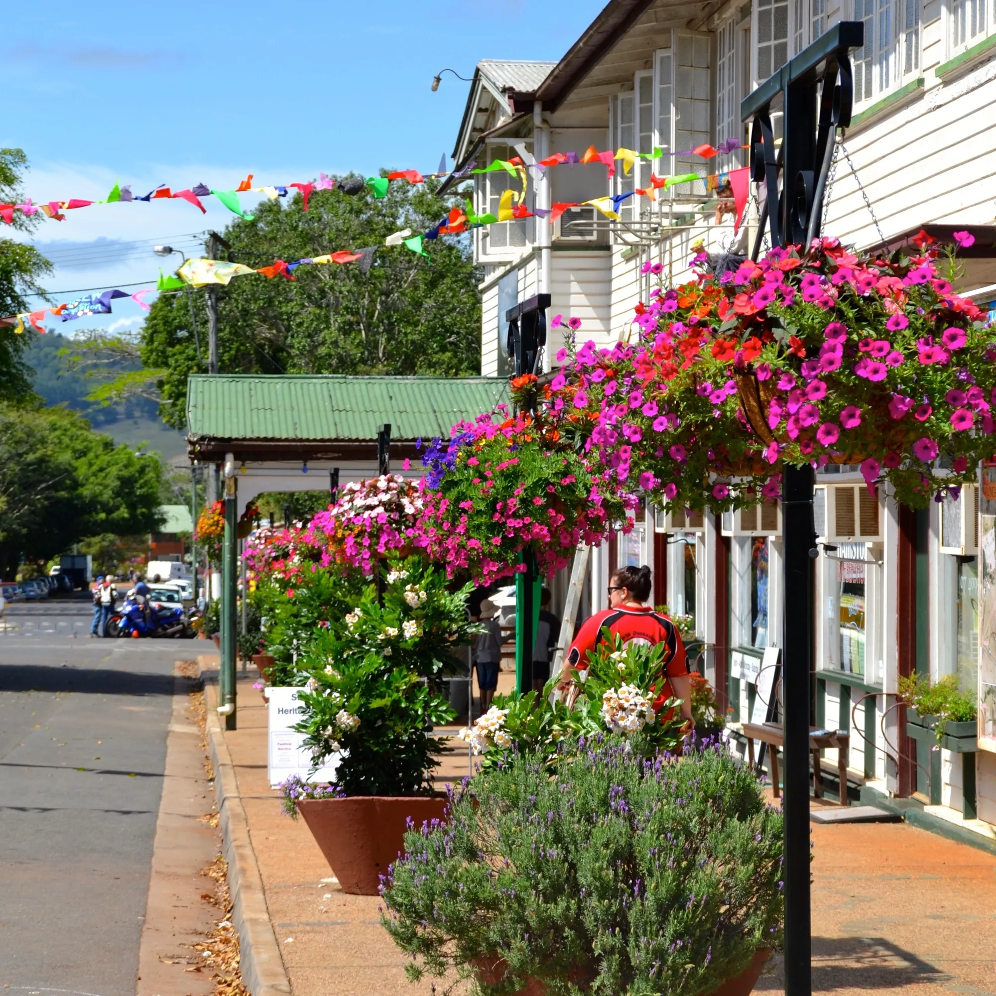 Atherton Tablelands Food Tour from Port Douglas | Experience Oz-14