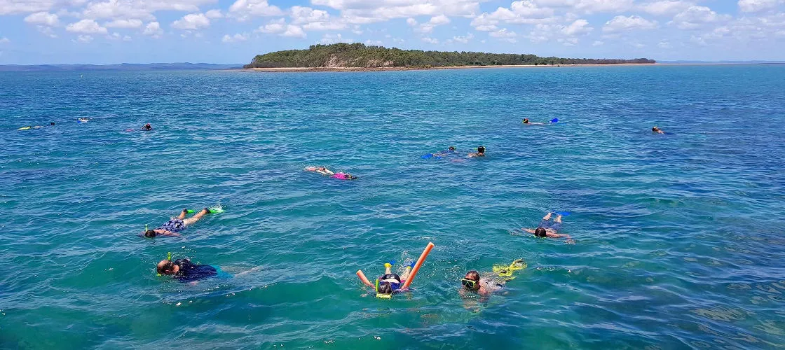 Hervey Bay Marine Eco Cruise | Experience Oz-2