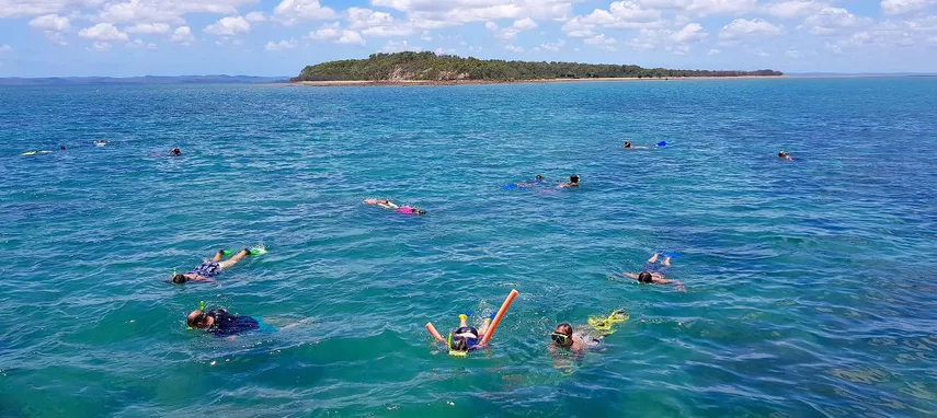 Hervey Bay Marine Eco Cruise | Experience Oz