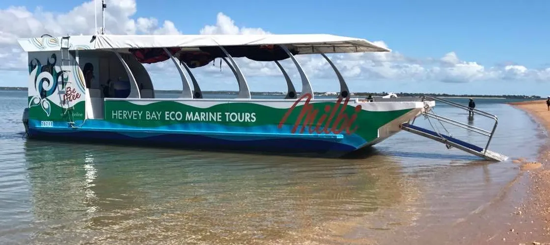 Hervey Bay Marine Eco Cruise | Experience Oz-4