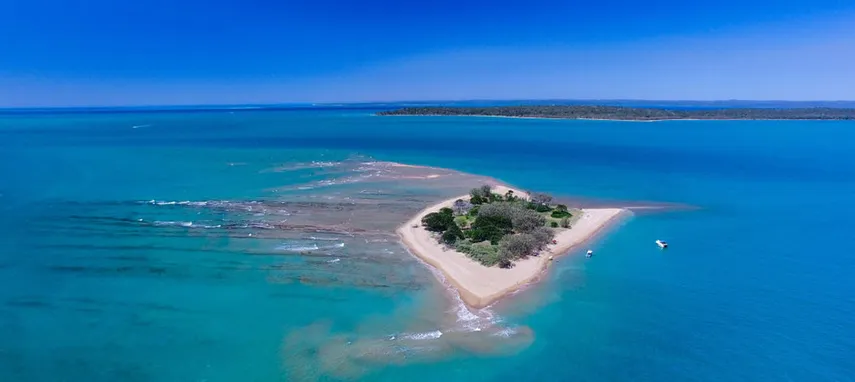 Hervey Bay Marine Eco Cruise | Experience Oz